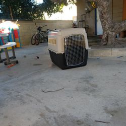 Dog Kennel
