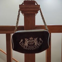 Juicy Couture Purse