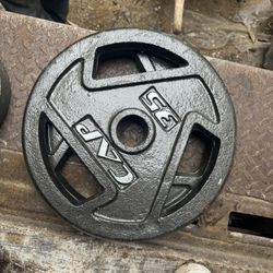 35 Lb Olympic Plate (read Description)