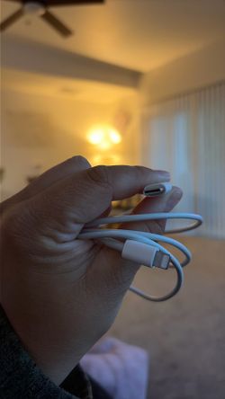 Apple iPhone Charger