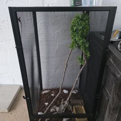 Chameleon Cage Lights Included 