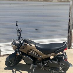 2023 Honda Navi