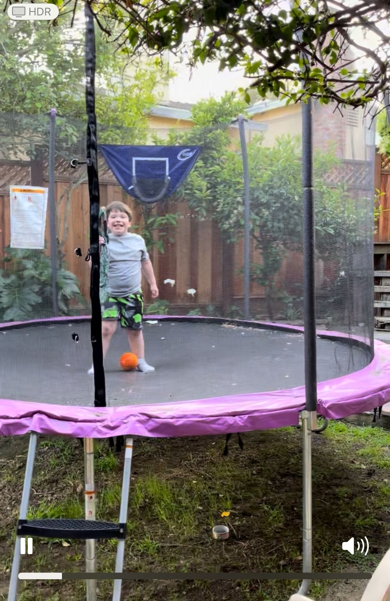 12 Foot Trampoline With Safety Net And Ladder