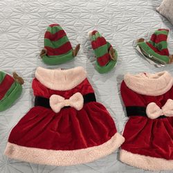 Christmas dog Outfits