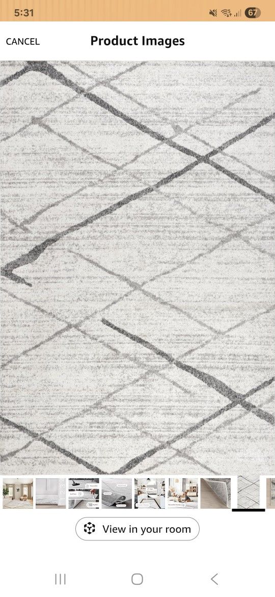 Contemporary Area Rug 8 X 12