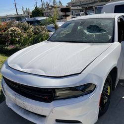 Auto Glass