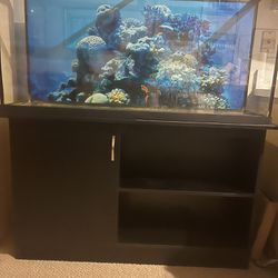 3 Tanks/ Aquariums 
