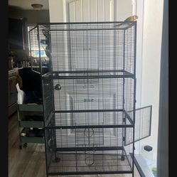 Cage Bird Parrot  Or Small Animal Etc 