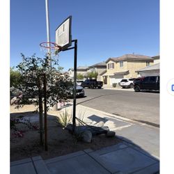 Basketball Court $70