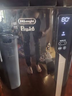 DeLonghi Pinguino Portable AC