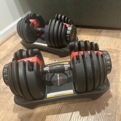 Bowflex Dumbbell 
