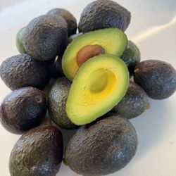 6/14 , 8-1pm -Local, fresh Avocados & Macadamia Nuts For Sale!!!
