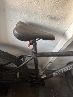 Bicycle Bike
