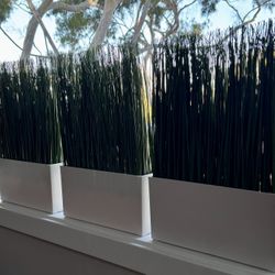 Artificial Grass in White Planters