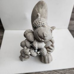 Dreamsicles squirrel holding a cluster of acorns