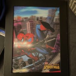 Small Spider-Man Picture