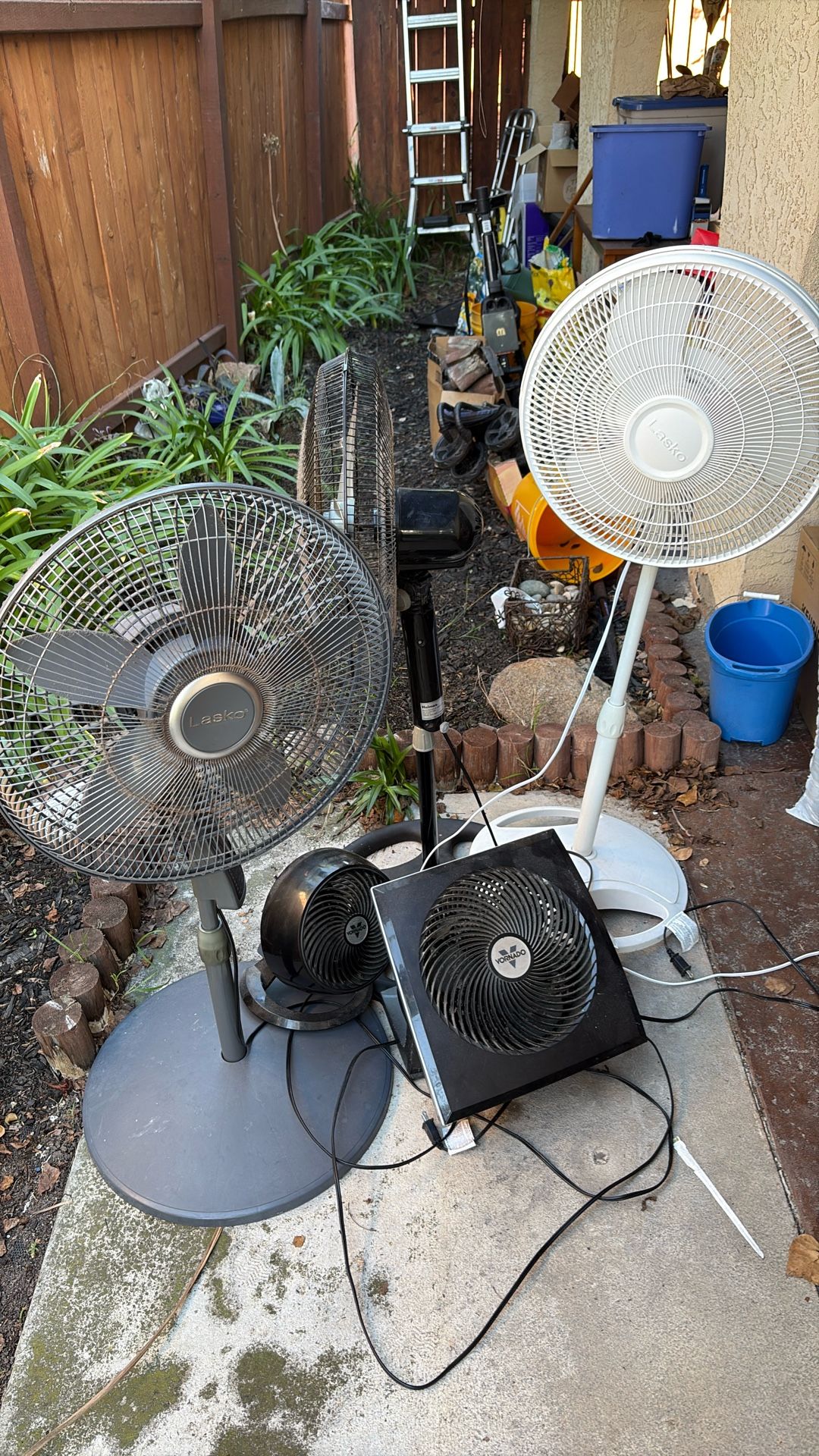 FANS - 6 Fans In Working Condition Including 2 Vornado Fan