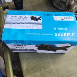 c8087-007 SHURflo pro blaster II 24V washdown pump