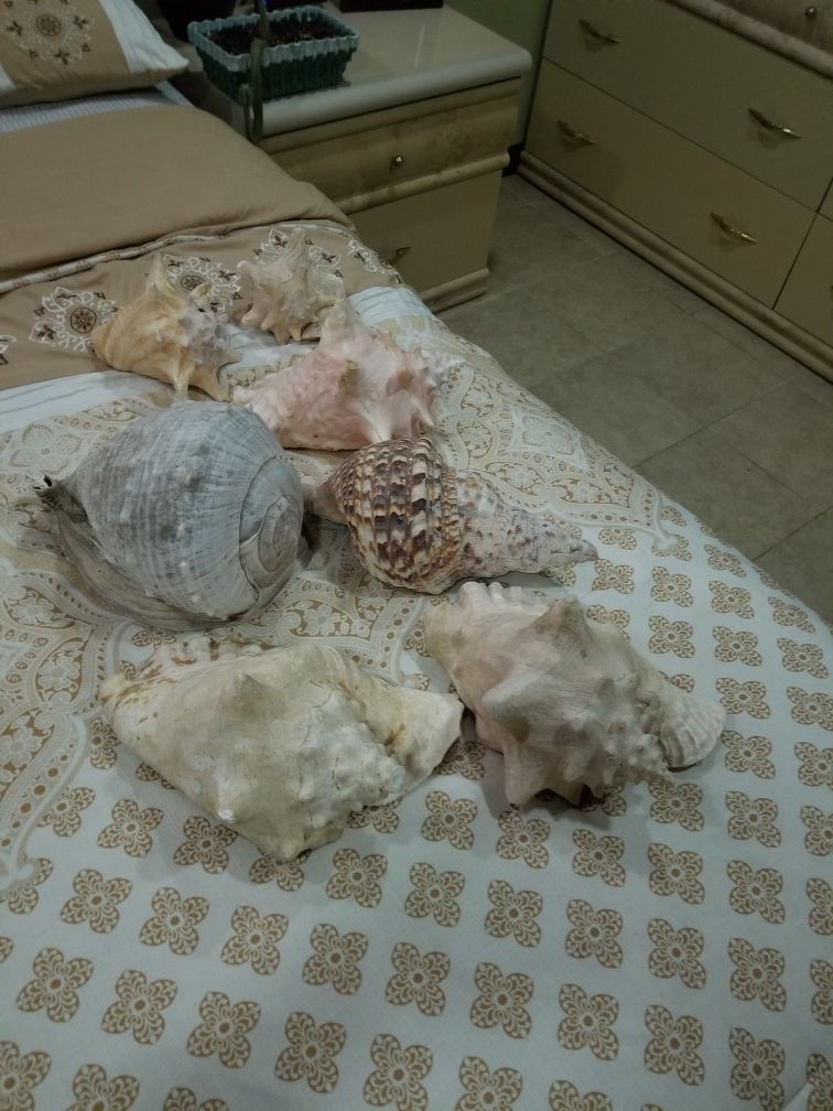 Decoration