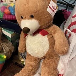 Teddy Bear New