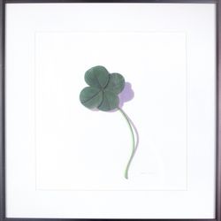 Sarah Schulte, "Good Luck" — Framed lithograph