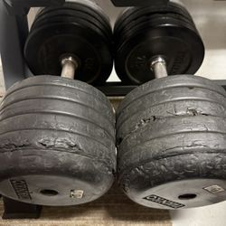 80 Lbs Dumbbell Pair 