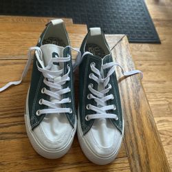 Skicks Michigan State New  Spartan  Low Top Shoes 