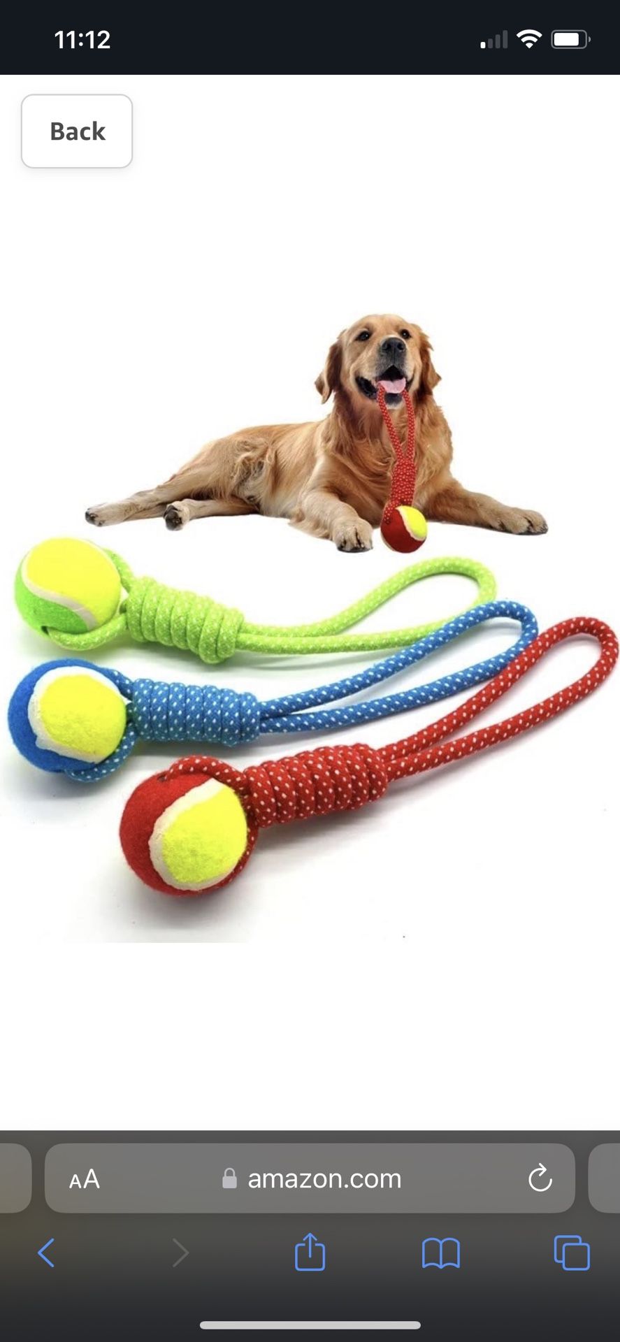 Dogs Balls Toys Training