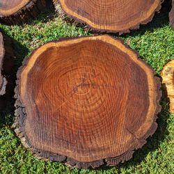 Large Mesquite Rounds