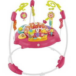Fisher Pricebaby Bouncer