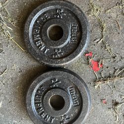 Pair Of 2.5 Lb Standard 1” Weights