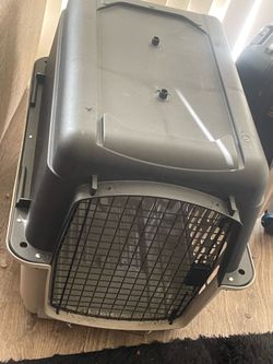Kennel