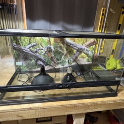 Reptile Enclosure 