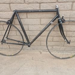Trek 2120 Carbon With Wheelset 