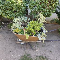 Wheelbarrow With Plants 