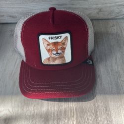Frisky Goorin bros adjustable hat 🧢