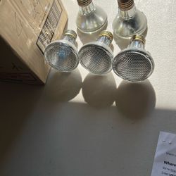 Light Bulbs 4” .50w. .23pc 