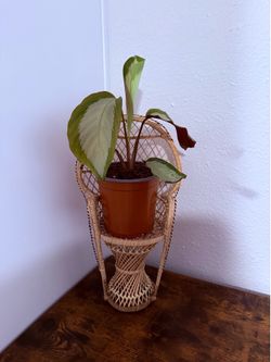 vintage/retro miniature peacock chair