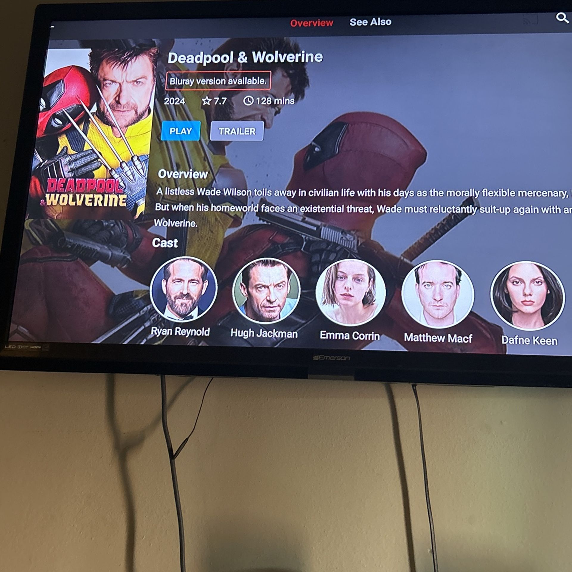 Movie Streaming Services
