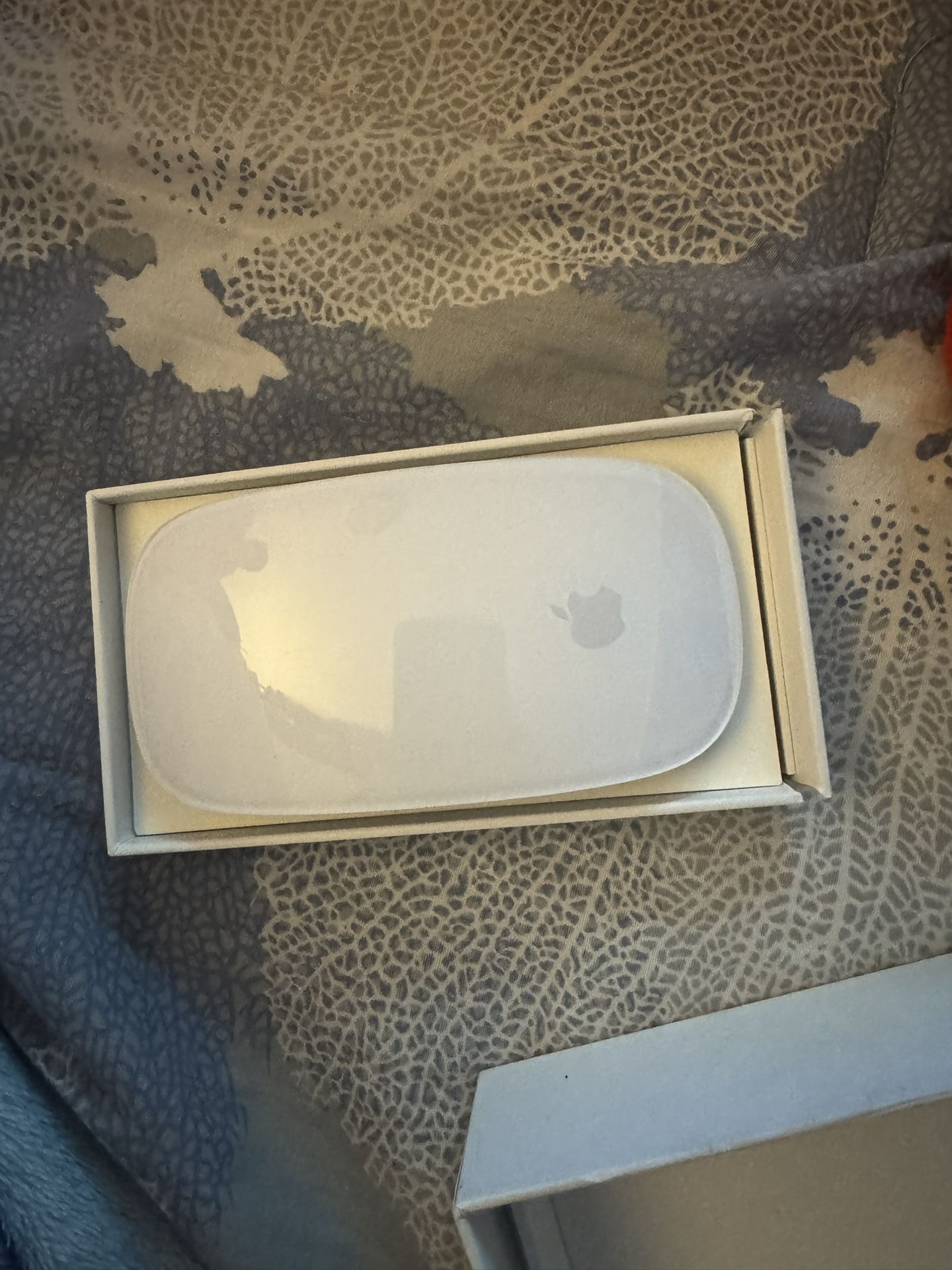 Magic Mouse Apple