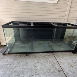 200 Gallon Fish Tank