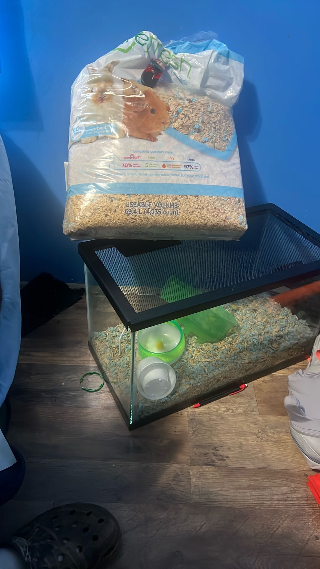 Tank With Hamster Supplies