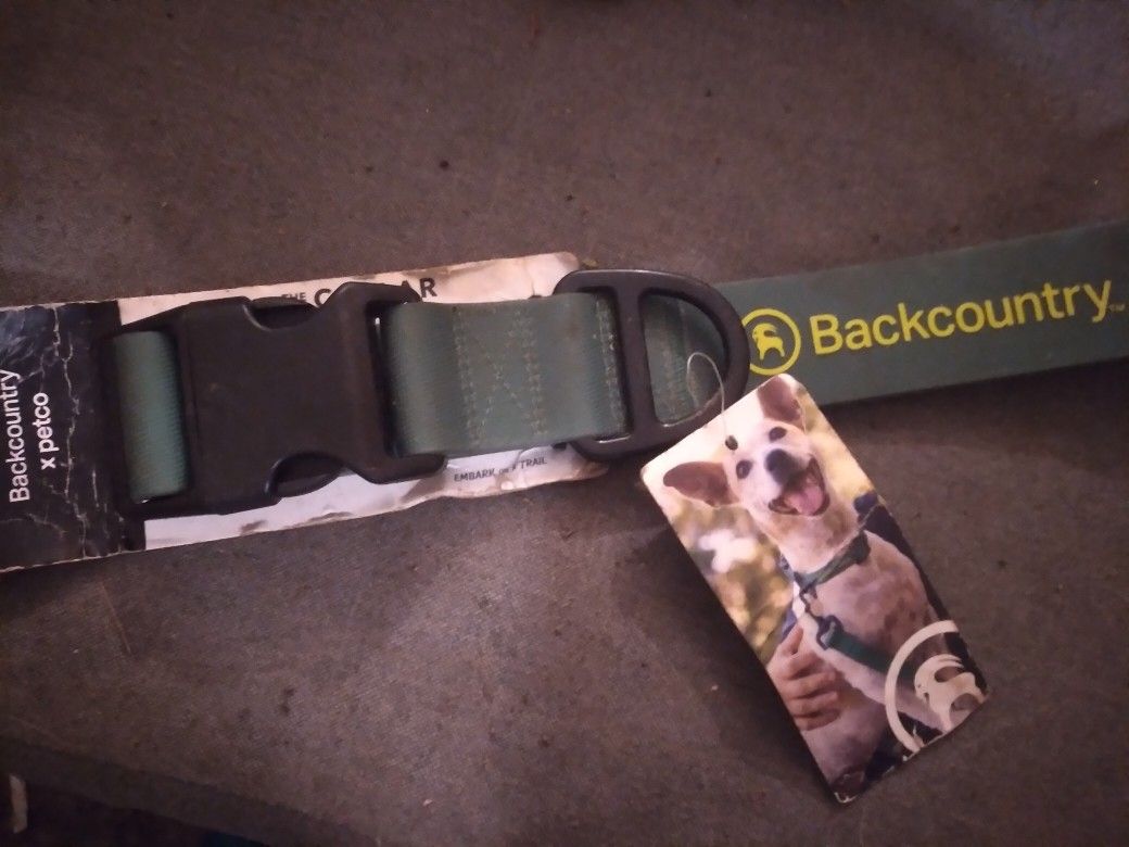 New XXL Dog Collar