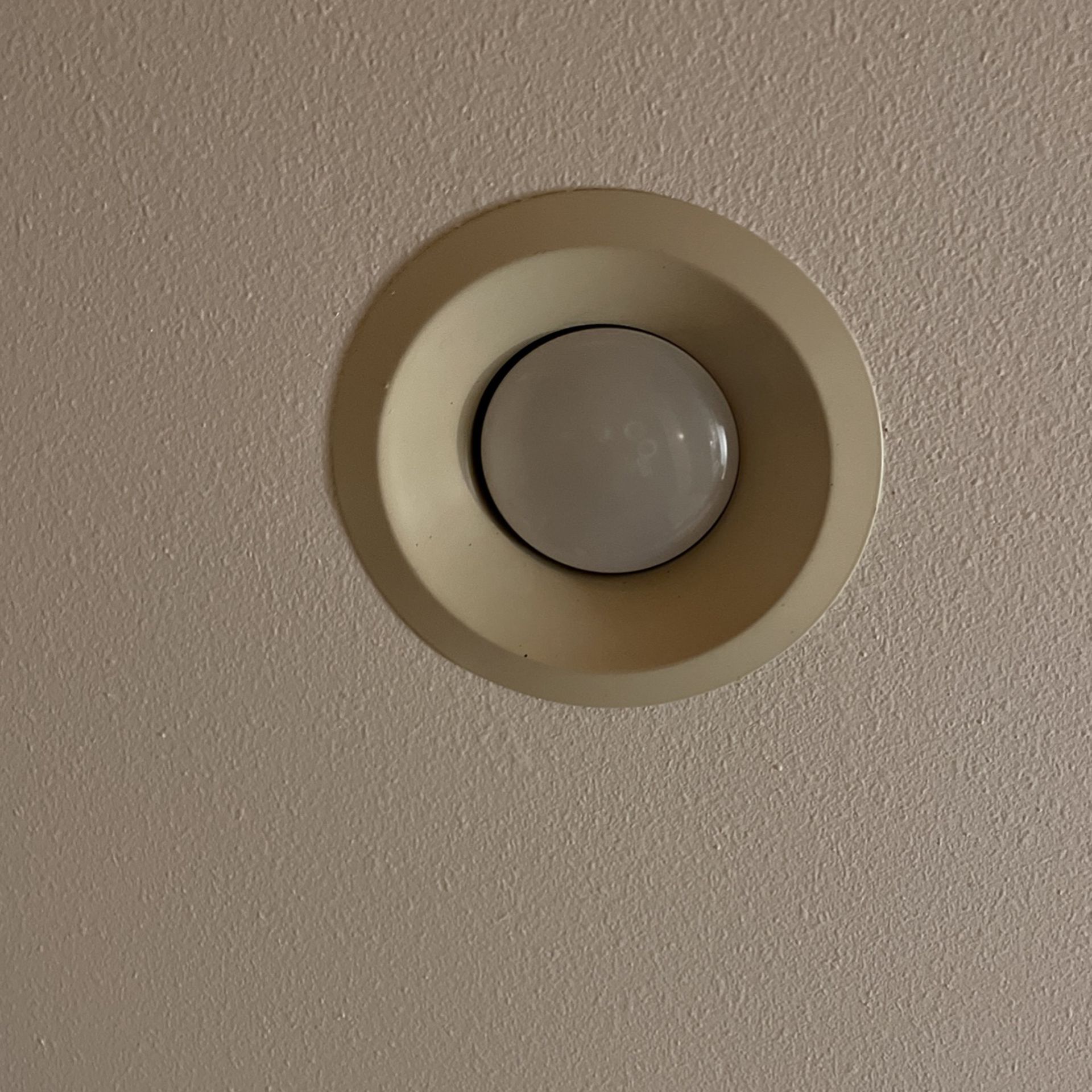 FREE: 12 Ceiling Light Plates And Bulbs