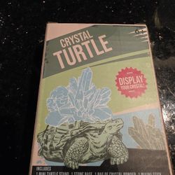 Crystal Turtle Craft