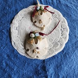 Sand Dollars 
