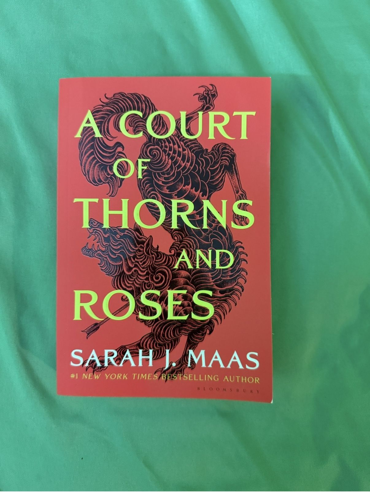 Novel A Court Of Thorns & Roses