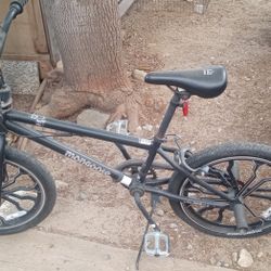 New Mongoose Bike
