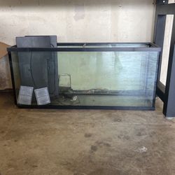 55 Gallon Large fish Tank 