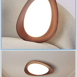 New-Beautiful And Unique Ceiling Light Fixture 